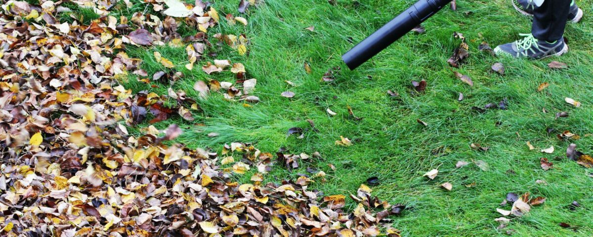 garden tool hire Devon, hire garden tools Newton Abbot, autumn garden clearance Devon, scarifier hire Devon, chipper hire Devon