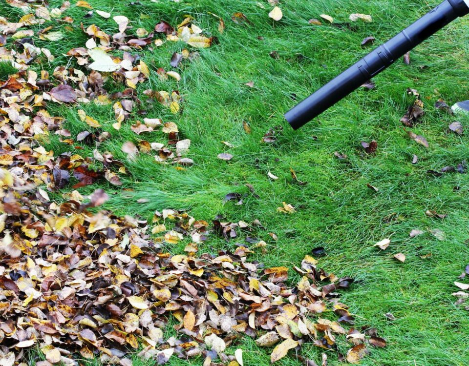 garden tool hire Devon, hire garden tools Newton Abbot, autumn garden clearance Devon, scarifier hire Devon, chipper hire Devon